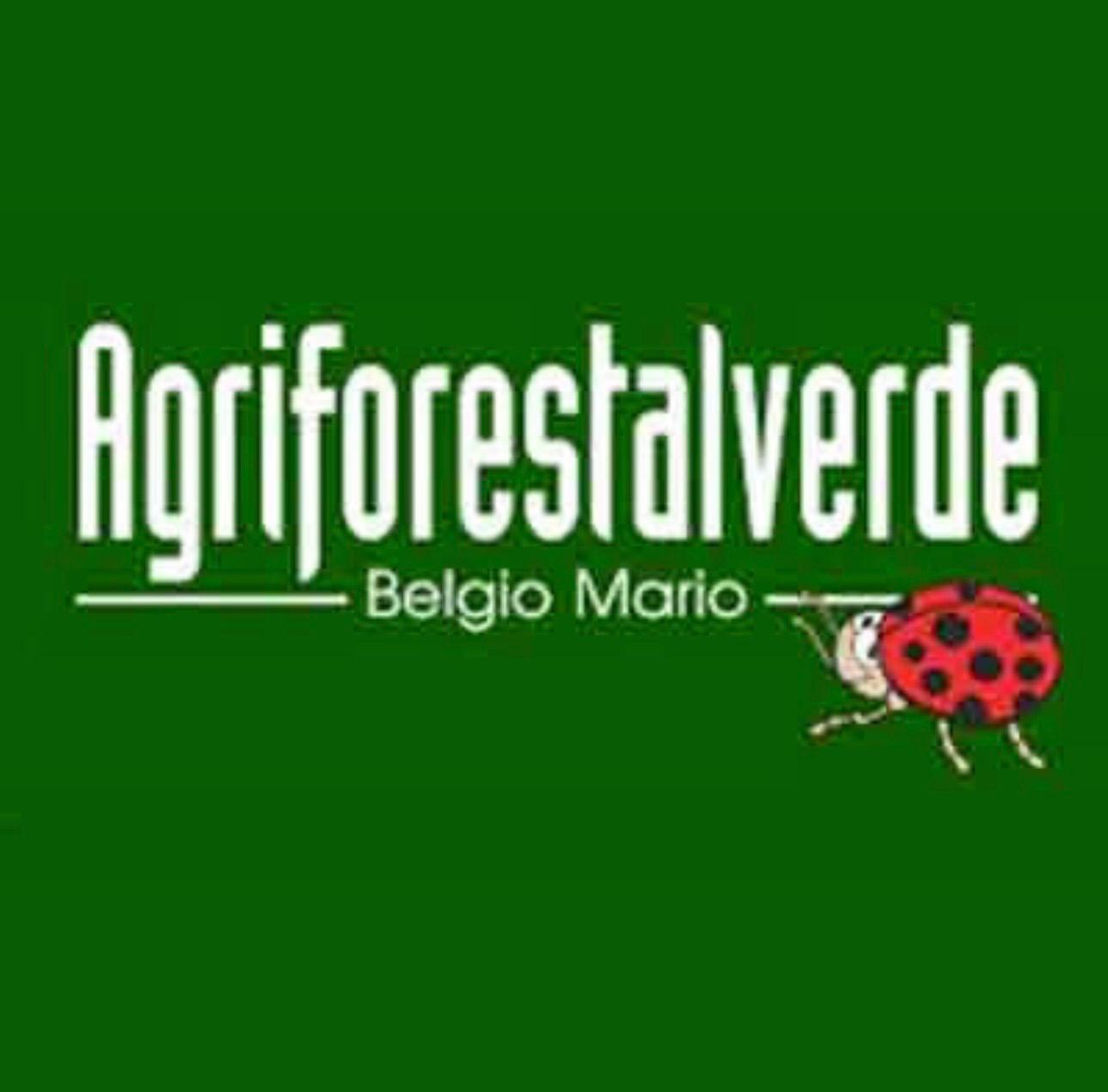 AgriForestal Verde